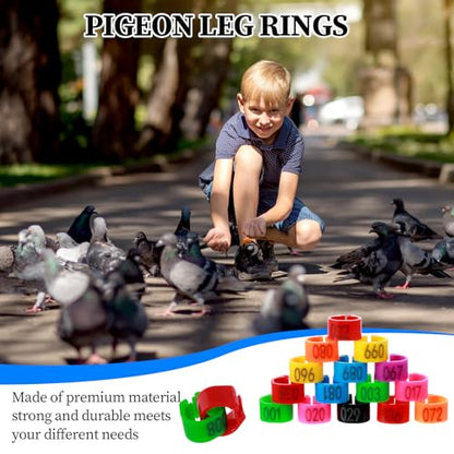 100PCS 8mm Chicken Leg Bands, Plastic Chicken Leg Rings with 8 Colors, Numbered Quail Bird Leg Bands Identification, Ankle Ring for Bantam Finch Dove Lovebird Coturnix Quail Duck Small Birds Supplies