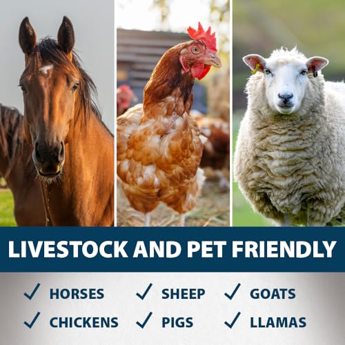 Airmax Stock Tank Defense, Livestock Water Trough Cleaner, Clean Drinking Tanks for Horse, Cattle, Goat & Chicken, Safe & Easy-to-Use Cleaning Tablet Treatment for Farming & Agricultural Use, 24 Tabs - size: 24 Tablets