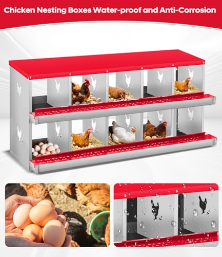 Garvee Chicken Nesting Box, 10 Compartment Metal Nesting Box,Wall Mount Chicken Nesting Boxes for Laying Eggs,Easy Egg Collection,10 Room Nest Boxes for Chickens - size: Red 10 Compartment