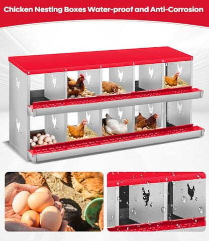 Garvee Chicken Nesting Box, 10 Compartment Metal Nesting Box,Wall Mount Chicken Nesting Boxes for Laying Eggs,Easy Egg Collection,10 Room Nest Boxes for Chickens - size: Red 10 Compartment