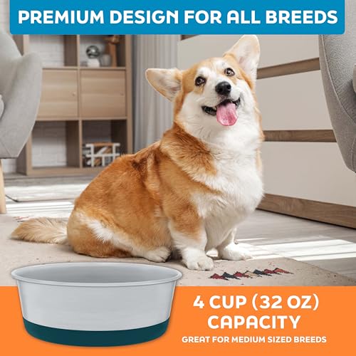Master Pet Supply Stainless Steel Dog Bowls Set of 2 with Extra Thick Silicone Base - 4 Cup (32 oz) Emerald Sea, Non-Slip, Dishwasher Safe Metal Bowls, Pet Dog Food Bowl for Dogs, Cats, Anti Rust - color: Emerald Sea, size: 4 Cups (32 oz) 2 Pack