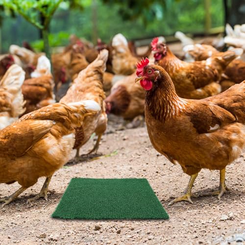 2pcs Reusable Chicken Coop Nesting Pads - Washable Grass Carpet Nest Mat for Laying Hens - Egg-Protecting Artificial Turf Bedding for Poultry House and Chicken Box Liners
