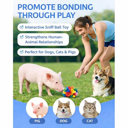 Snuffle Ball for Mini Pigs, Fun Enrichment Pig Toys (Rainbow) | for Small Animals, Soft Layers, Encourage Instincts, Slow Down Eating, Mental Stimulation - color: Rainbow