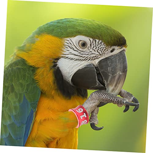 Sosoport 50pcs Closed Anklet Poultry Leg Bands Bird Birds Foot Rings Number Foot Ring for Homing Pigeon Chicken
