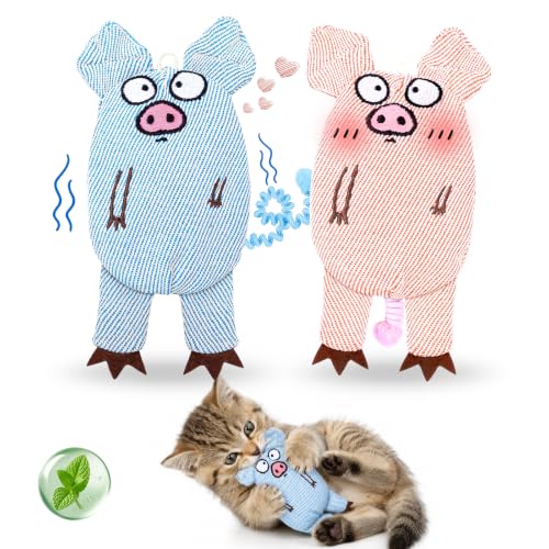 Cat Toys for Indoor Cats, 2 PCS 8000mg A+Natural Catnip Silvervine Crinkle Interactive Cat Toy Pig with Bell Elastic Tail, Baby-Grade Plush Chew Toy for Teeth Cleaning, Cat Kickers for Boredom