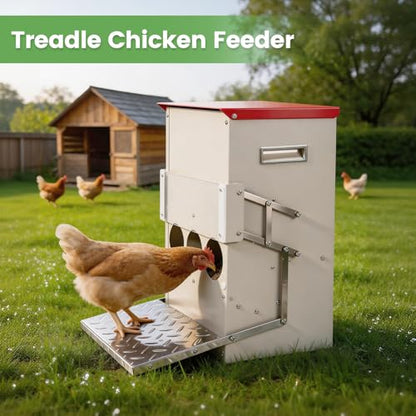 25LB Automatic Chicken Feeder No Waste Metal Gravity Poultry Feeder Treadle Feeder 3 Feeding Ports with Lid, Weatherproof Galvanized Chicken Food Dispenser for Ducks, Goose, Turkey