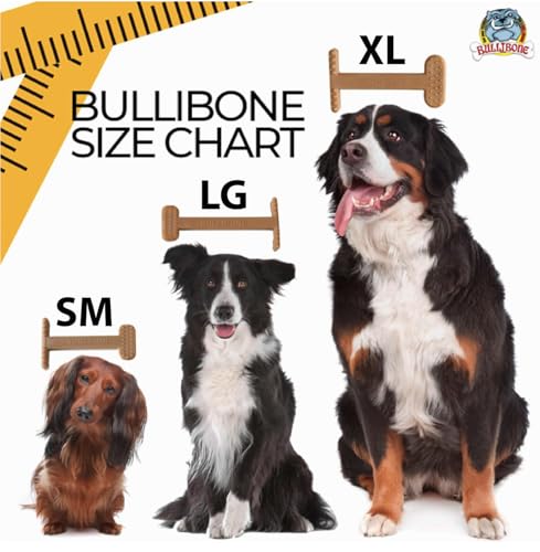 Bullibone Nylon Dog Chew Toy for Aggressive Chewers - Dental Hygiene Bone with Bacon Flavor, Durable Tough Chew Toys for Large Dogs, Indestructible Dog Bone - 3 Pack - size: Large - 3 Pack