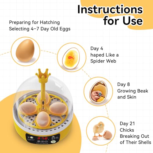 Mini Egg Incubator, 7W 4 Eggs Automatic Temperature Humidity Control Candler Poultry Hatching Machine Low Noise Tabletop Chicken Turner for Chickens Ducks Pigeons (Auto Turning) - size: Auto Turning