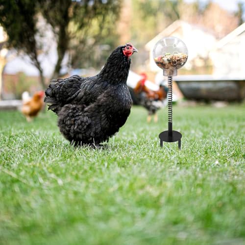 Oooct 2 Pack Chicken Pecking Toys with Swing Feeder, Coop Slow Feeder Toy for Chickens, Chicks, Ducks, Hens, Parrots & Poultry Enrichment - size: 2 Pack