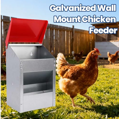 Cryfokt Galvanized Wall Mount Chicken Feeder, No Waste Hanging Poultry Food Dispenser with Lid Weatherproof Metal Automatic Trough, for Outside Coop 10lbs Capacity