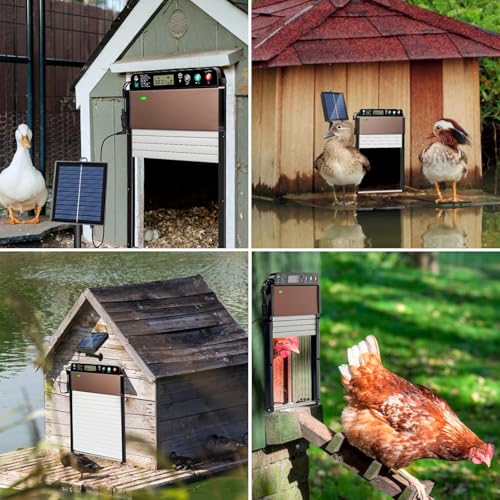 Automatic Chicken Coop Door, Solar Powered Chicken Door Opener