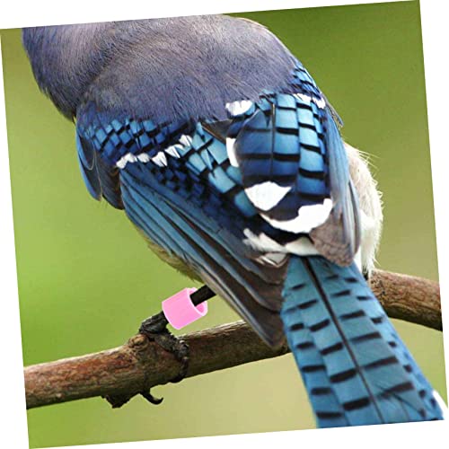 GANAZONO Pigeon Anklet Bird Leg Ring Identification Bands Plastic Chicken Leg Bands for Pigeons