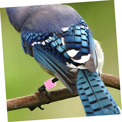 GANAZONO Pigeon Anklet Bird Leg Ring Identification Bands Plastic Chicken Leg Bands for Pigeons
