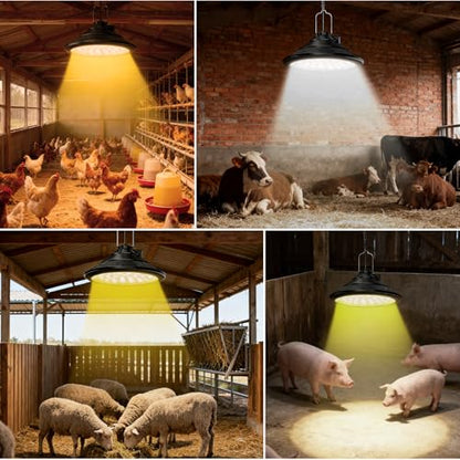 2-Pack Solar Chicken Coop Light with Timer, Barn Light for Horse Arenas, Pig Farms | 3-Mode Spectrums, IP66 Waterproof & 22ft Cord | Outdoor Lighting for Stables, Goat Sheds, Poultry Coop