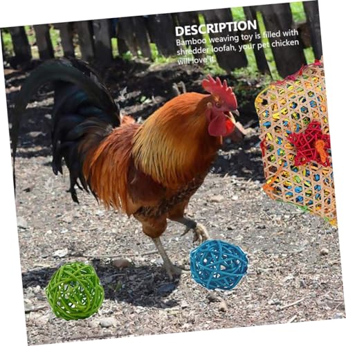 5PCS Chicken Set for Hens and Parrots Hanging Chewing and Feeder for Bird Exercise and Entertainment Hanging for Poultry and Pet Birds Random Color