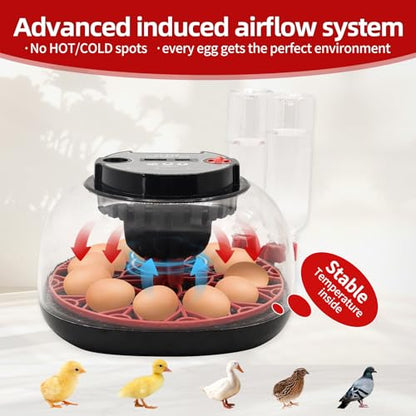 12 Egg Incubator with Humidity Display, Egg Incubator with Automatic Egg Turning and Automatic Water Bottle Refill, Chicken Incubators for Hatching Eggs, Duck Egg Quail Incubator