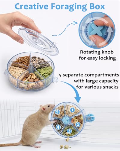 Rotating Rat Foraging Toy Interactive Slow Feeder with 5 Compartments & 2 Openings, Hanging Rat Enrichment Toy for Pet Rats Cage for Mental & Digestive Health, Sturdy Safe Cage Accessory