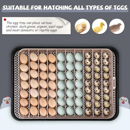 Sailnovo Incubators for Hatching Eggs 70 Egg Incubator with Auto Egg Turning & Auto Humidification, Temperature Control, Incubator for Chicken Duck Quail Eggs, Perfect for Lab School Farm, Gray&Yellow
