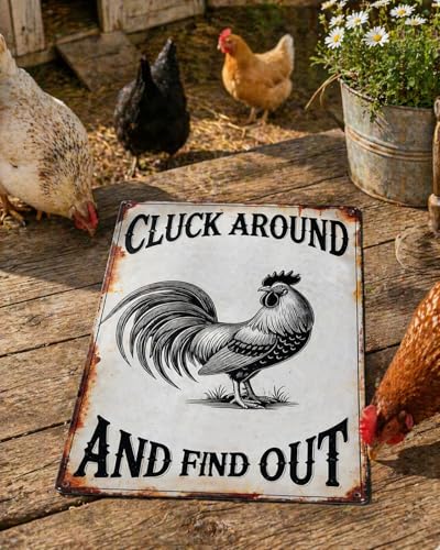 Cluck Around And Find Out Tin Sign Funny Chicken Coop Accessories for Home Farm Garden Courtyard Decor 8 X 12 Inch - size: QI-1