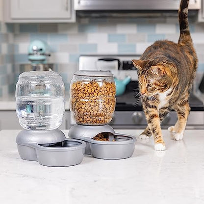 Petmate Replendish Feeder with Automatic Cat and Dog Feeder, 5 LB, Pearl Silver Grey, Made in USA - color: Pearl Silver Grey, size: 5 LB