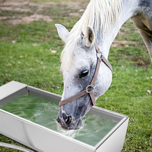 Zerone Automatic Livestock Water Dispenser, 7.5L Large Capacity Stainless Steel Self Filling Animal Drinking Water for Horse Cow Goat Pig with Valve Kit