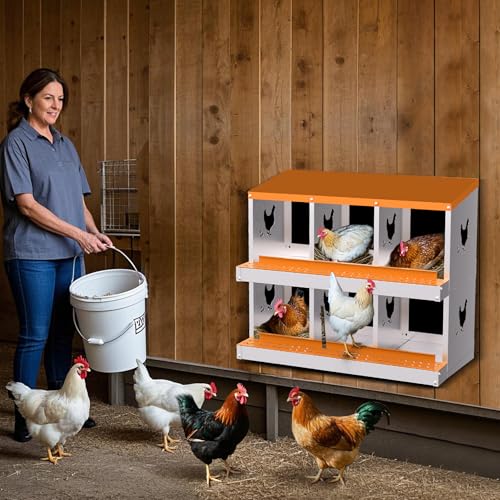 Chicken Nesting Box,6 Compartments Galvanized Steel Metal Chicken Laying Box with Roll Out Egg Collection,Wall Mount Chicken Nesting Boxes,Easy Egg Collection, Hen Roosting Boxes - color: Orange, size: 6 Holes