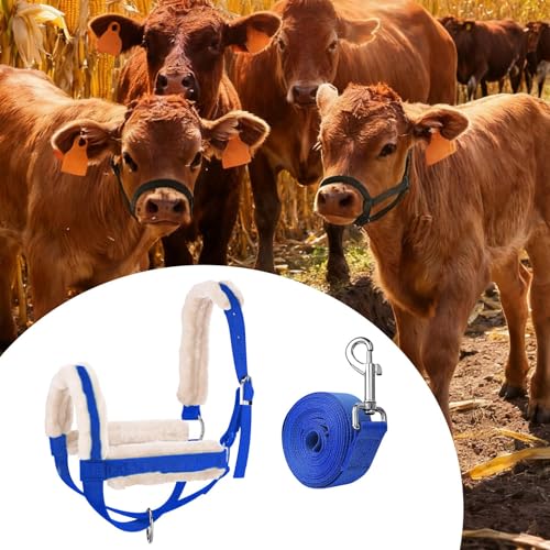 Cow Halter with Leading Rope Barn Multifunction Accessories Showing Bull Bridle Cattle Calf Halter for Horse - color: Blue L