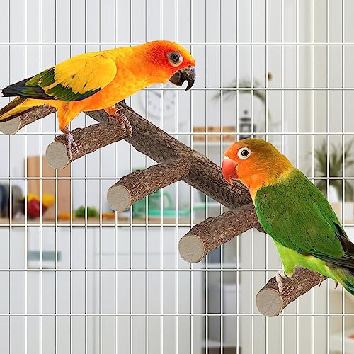 Parrot Wood Stand, Parrots Perch for Cage, Natural Bird Ladder for Small Medium Parrot, Parakeets, Cockatiels, Conures, Hamster(12.2 inch)
