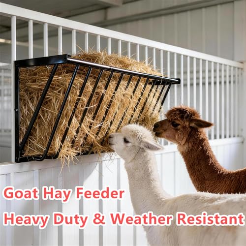 Wall Mounted Hay Feeder & Blanket Holder, 35.5" Long Gal Heavy Duty Steel Hay Rack for Horse Stall, Goat Shed, Sheep Barn, Organizer for Feeding and Storage - size: 35 in（2 PCS）