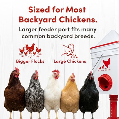 RentACoop Chicken Feeder & Waterer Set– 25lb No-Waste Feeder with 4 Large Ports + 5-Gallon Waterer with Auto-Fill Cups & Horizontal Nipples – BPA-Free, Anti-Roost Cone, Adjustable Stands