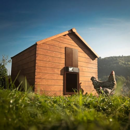RUN-CHICKEN Door Eternal – Solar Automatic Chicken Coop Door with Built-in Solar Power & Battery Backup, Smart App & Timer Control, Weatherproof Aluminum, Predator-Proof, Easy to Install (Brown)