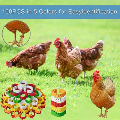 Adjustable 100 Pcs Chicken Leg Rings, Colorful Numbered Chicken Identification Leg Bands, Durable Poultry Leg Bands for Chickens Ducks Goose Turkey