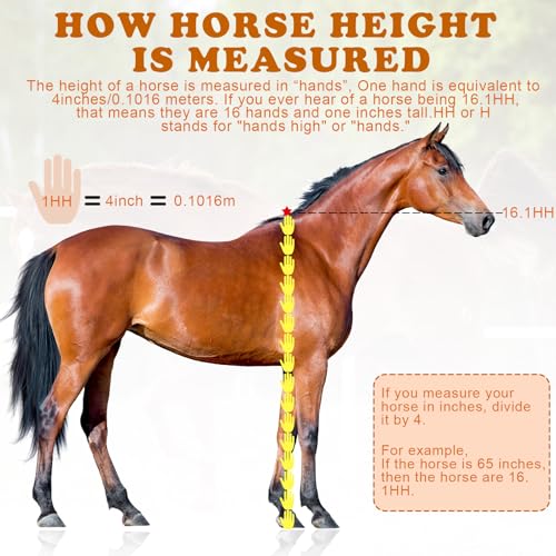 2 PCS Horse Height Measuring Kit - Foldable 91 Inch Tape & Lightweight Aluminum Stick (27.5-74.8 Inch), Accurately Measure Horse Height in Hands (Weighted Base) - style: Weighted Base