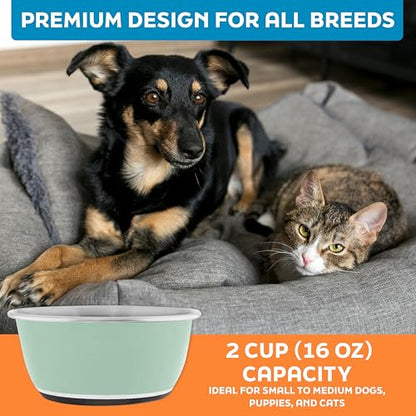 Master Pet Supply Stainless Steel Dog Bowls Set of 2 (16 Oz Each) with Non-Slip Rubber Base - Pistachio - Basic Dog Food Bowl Water & Food Bowls for Small Medium Large Dogs & Cats, Metal Dish - color: Pistachio, size: 2 Cups (16 oz) 2 Pack