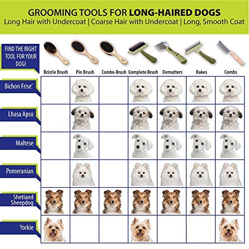 Coastal Pet Safari Comfort Grip Curry Brush for Dogs - Dog Bath and Shampoo Brush and Massager for Indoor & Outdoor Dogs with Short Hair - One Size