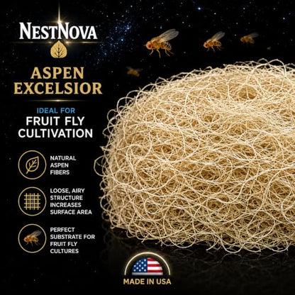 NestNova™ Aspen Excelsior – 2 lb Natural Aspen Wood Fiber | Chicken Nesting Material, Small Pet Bedding, Crafts, Gift Baskets & Natural Fire Starter | USA-Grown, Biodegradable