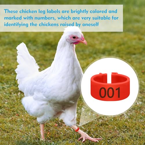100 Pcs 16mm Plastic Chicken Leg Bands, Color-Coded Leg Bands for Chickens & Farmers, Notched Ring Design Chicken Bands Leg for Easy Flock Management