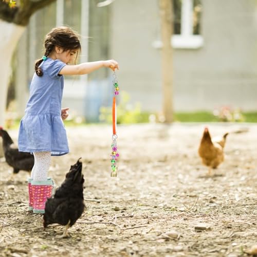 BESPORTBLE Hanging Bird Mirror for Parrots Hens Roosters Large Shatter-Resistant Chicken Coop Accessory for Cage Play and Enrichment Versatile Decorative Gnawing Fun