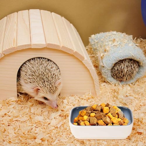Ceramic Feeding Bowls for Small Animals, Ideal for Hamster, Guinea Pig, Hedgehog and Gerbil (Blue + Green + Brown)