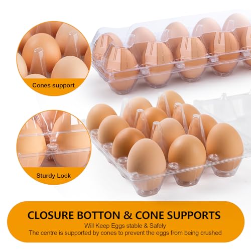 100 Pack Plastic Egg Cartons 12 Count Egg Cartons Cheap Bulk for Chicken Eggs, Egg Holder Egg Container for Fresh Eggs, Reusable Egg Carton for Family, Chicken Farm and Markets, 2x6 Grid, Medium - size: 100P2×6