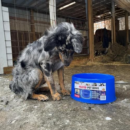 Farm Innovators 60 Watt Premium Plastic Heated Pet Water Bowl with Advanced Thermostatic Control for Large Dogs and Cats, Blue
