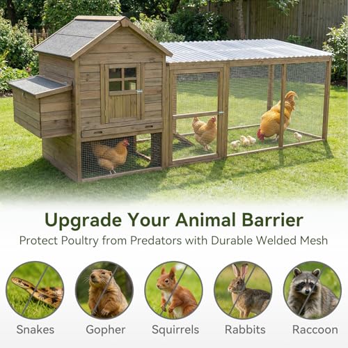 AMAGABELI GARDEN & HOME Hardware Cloth 1/2 inch 16 in x 25 ft Galvanized After Welding 19 Gauge Square Chicken Wire Fence Mesh Roll Raised Garden Bed Plant Supports Poultry Netting Cage Snake Fence - size: 1/2" 16"x25'