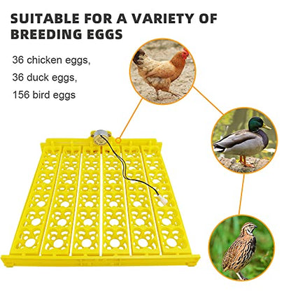 Automatic Multifunction Incubator Egg Tray With 110V Motor Turning Hatcher for Chickens/Ducks/Birds/Poultry (36-tray-110V) - color: 36-tray-110V