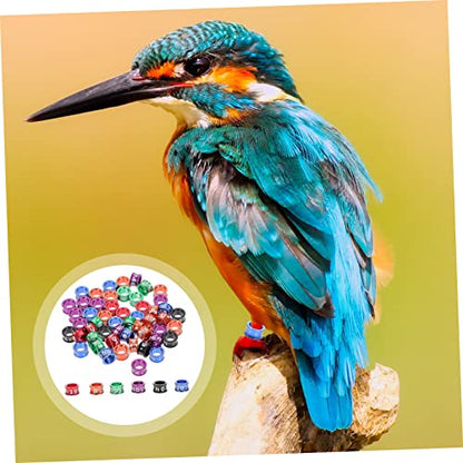 BESPORTBLE 50Pcs Closed Bird Leg Rings Numbered Parrot Pigeon Foot Bands Sturdy Alloy Identification Rings for Small Birds for Breeding and Identification