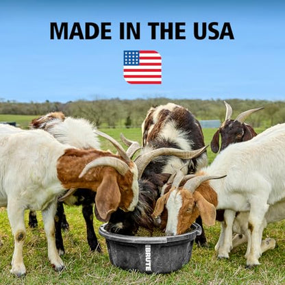 Rubbermaid Commercial Products Brute 6-Gallon Animal Pan Feeder, RigidCell Construction, Stackable Livestock Feed Bowl, Made in USA - size: 6 Gal, style: Pan Feeder