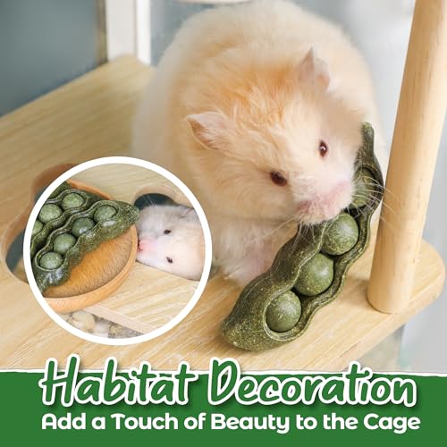TEEWY Guinea Pig Toys, Prevent Teeth Overgrowth, Natural Vegetables and Timothy Grass, Hamster Chew Toys, Guinea Pig Chew Toys, Chinchilla Toys, 3PCS, Peapod-Shaped - style: 3PCS-Peapods
