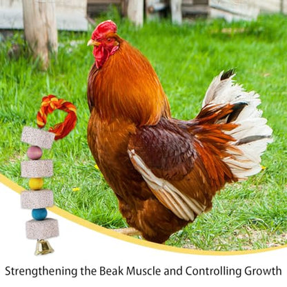 2 Pcs Large Chicken Chewing Toy with Bell Chicken Coop Accessories Chick Beak Grinding Calcium Stone for African Greys Amazon Conure Eclectus Budgies Parakeet Cockatiel Hamster