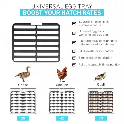 IncuTurn™ Automatic Egg Turner for HovaBator Incubators – Universal Egg Turner Tray for Chicken, Quail & Goose Eggs – Holds 42 Chicken 70 Quail 28 Goose Eggs (Turner Only)