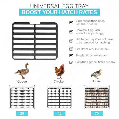 IncuTurn™ Automatic Egg Turner for HovaBator Incubators – Universal Egg Turner Tray for Chicken, Quail & Goose Eggs – Holds 42 Chicken 70 Quail 28 Goose Eggs (Turner Only)