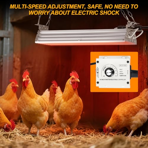 Safe Chicken Coop Heater 600W with Adjustable Thermostat, for Winter Chicken Warmth in 15 Sq Ft Coops, Waterproof & Tip-Over Protection Livestock Warmer - style: upgrade pressure regulator